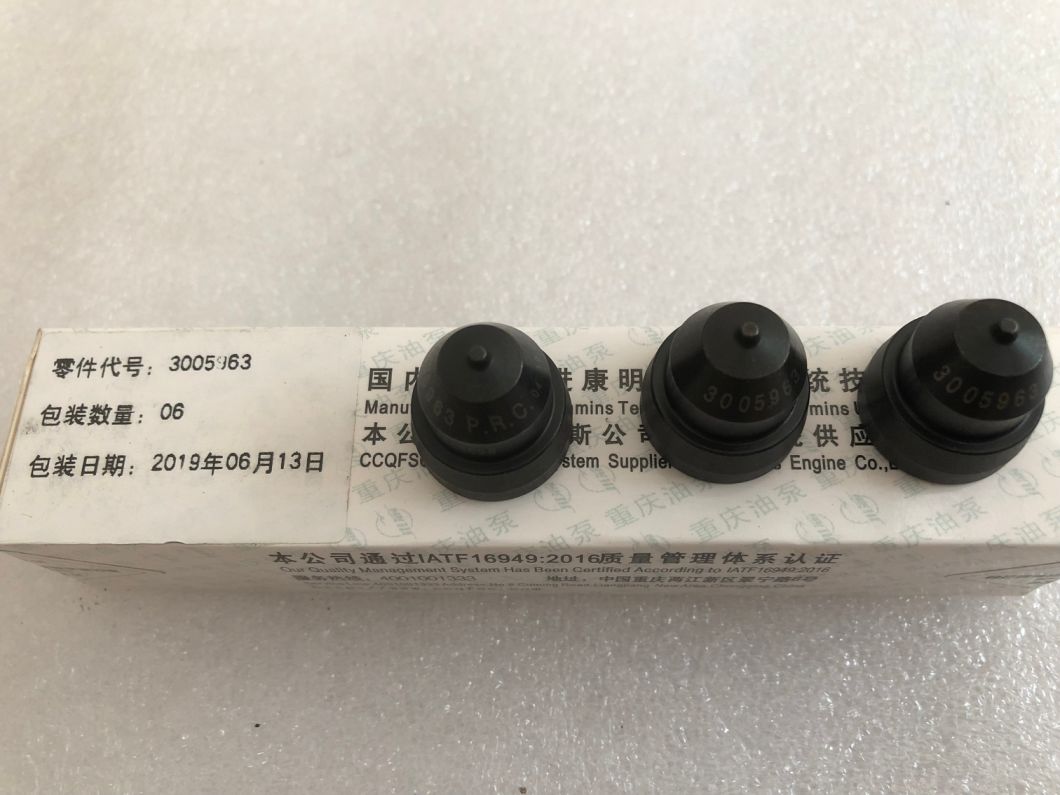 3005963-Форсунка-Чашка-Масло-Топливный насос-для-OEM-Ccec-Cummis